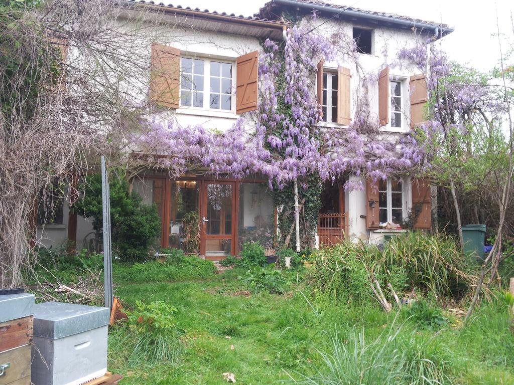 L'Estanquet Apartment Eauze Bagian luar foto
